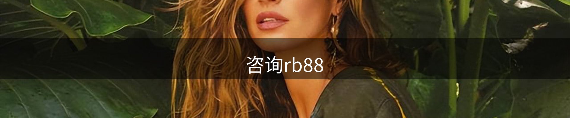 咨询rb88